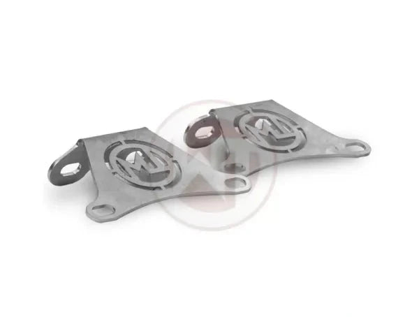 Wagner Tuning intercooler mounting hardware and accessories for AMG GT M178 platform